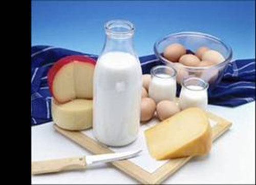 ���е����|�����P�DƬ